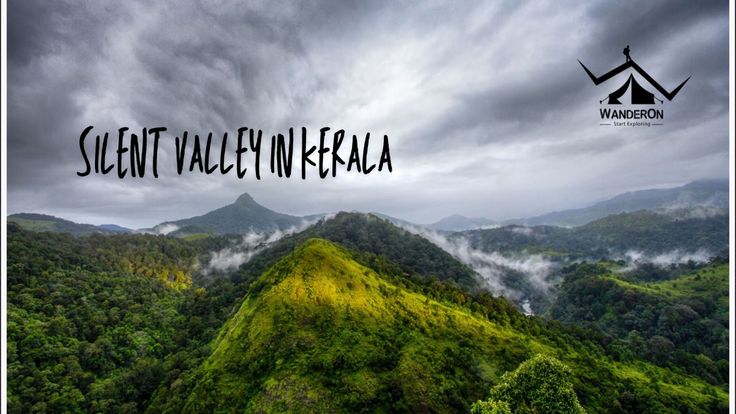 Silent Valley National Park - Kerala